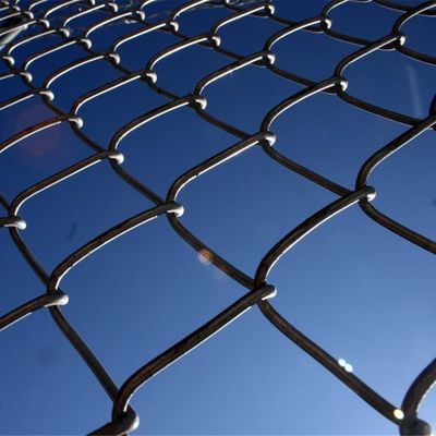 Le PVC a enduit le maillon de chaîne clôturant en vente la barrière galvanisée que de haute qualité du football de diamant a utilisé la barrière de maillon de chaîne de vente d'usine