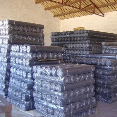 Grillage en acier simple à haute résistance/tissu de fil noir/tissu de grillage de noir de fer de paquet d'écran de fabrication/extrudeuse acier doux